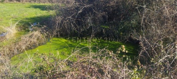 قطعة أرض في Tinalhas, Portugal 12500متر مربع رقم 161985 3