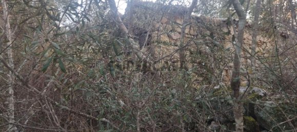 قطعة أرض في Tinalhas, Portugal 12500متر مربع رقم 161985 16