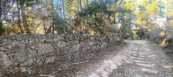 قطعة أرض في Tinalhas, Portugal 12500متر مربع رقم 161985 9