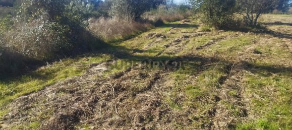 قطعة أرض في Tinalhas, Portugal 12500متر مربع رقم 161985 2