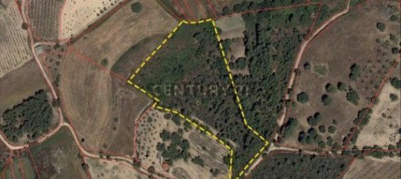 قطعة أرض في Tinalhas, Portugal 12500متر مربع رقم 161985 17