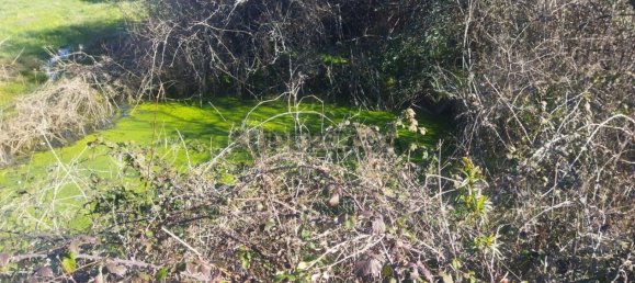 قطعة أرض في Tinalhas, Portugal 12500متر مربع رقم 161985 18