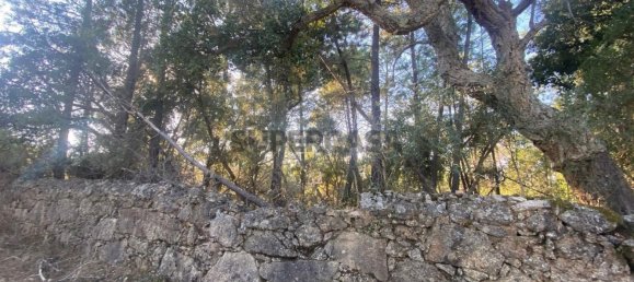 قطعة أرض في Tinalhas, Portugal 12500متر مربع رقم 161985 6