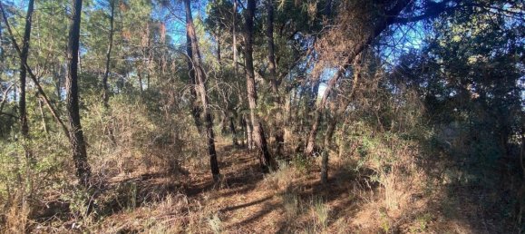 قطعة أرض في Tinalhas, Portugal 12500متر مربع رقم 161985 14