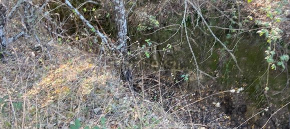 قطعة أرض في Tinalhas, Portugal 12500متر مربع رقم 161985 8