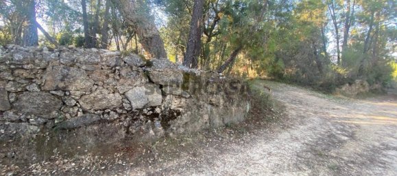 قطعة أرض في Tinalhas, Portugal 12500متر مربع رقم 161985 7