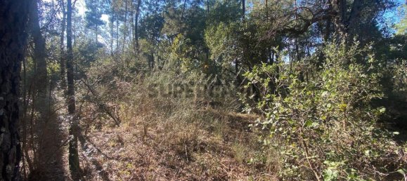 قطعة أرض في Tinalhas, Portugal 12500متر مربع رقم 161985 13