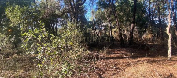 قطعة أرض في Tinalhas, Portugal 12500متر مربع رقم 161985 12