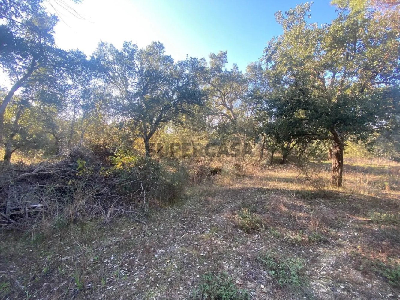  قطعة أرض في Tinalhas, Portugal 12500متر مربع رقم 161985