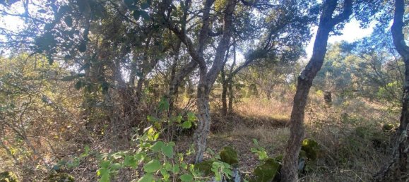 قطعة أرض في Tinalhas, Portugal 12500متر مربع رقم 161985 10