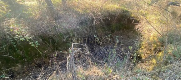 قطعة أرض في Tinalhas, Portugal 12500متر مربع رقم 161985 11