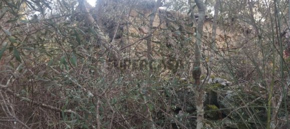 قطعة أرض في Tinalhas, Portugal 12500متر مربع رقم 161985 15