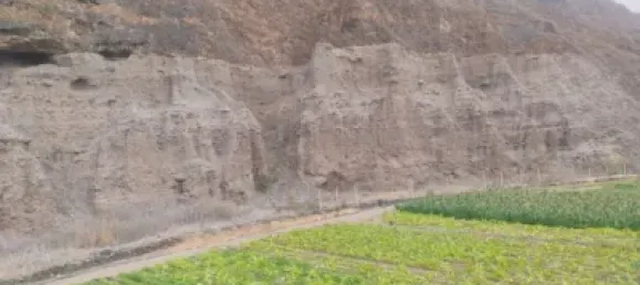 Terrain à Las Palmas De Gran Canaria, Spain No. 169776 4