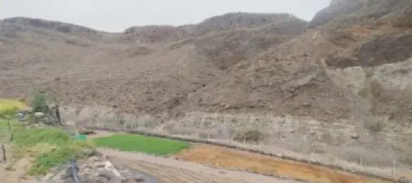 Terrain à Las Palmas De Gran Canaria, Spain No. 169776 32