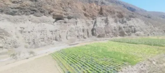 Terrain à Las Palmas De Gran Canaria, Spain No. 169776 33