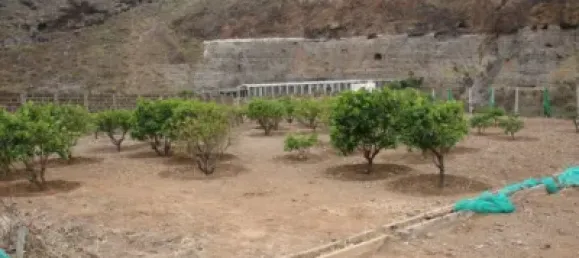 Terrain à Las Palmas De Gran Canaria, Spain No. 169776 28