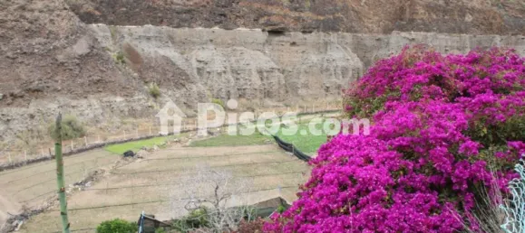 Terrain à Las Palmas De Gran Canaria, Spain No. 169776 26