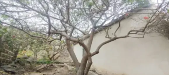 Terrain à Las Palmas De Gran Canaria, Spain No. 169776 7