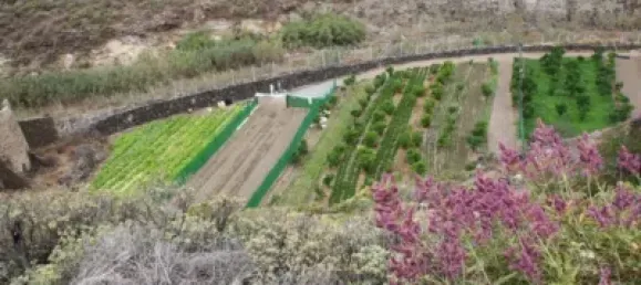 Terrain à Las Palmas De Gran Canaria, Spain No. 169776 21