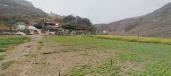 Terrain à Las Palmas De Gran Canaria, Spain No. 169776 12