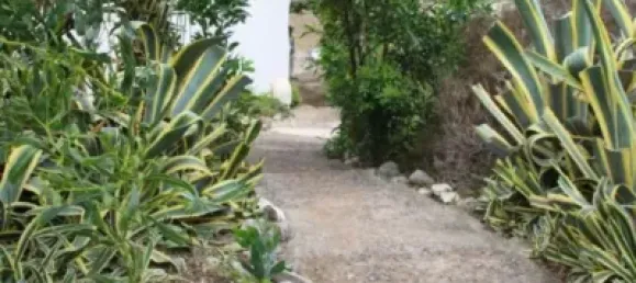 Terrain à Las Palmas De Gran Canaria, Spain No. 169776 23