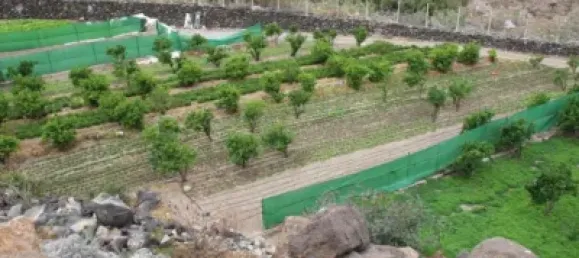 Terrain à Las Palmas De Gran Canaria, Spain No. 169776 19