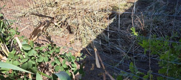  قطعة أرض في Gioia Tauro, Italy رقم 323295 3