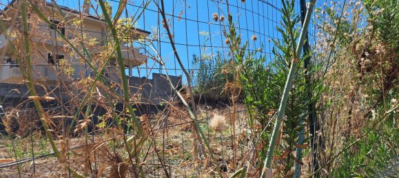  قطعة أرض في Gioia Tauro, Italy رقم 323295 2