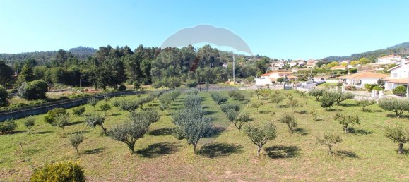 7 bedrooms House in Viana do Castelo, Portugal No. 186695 14