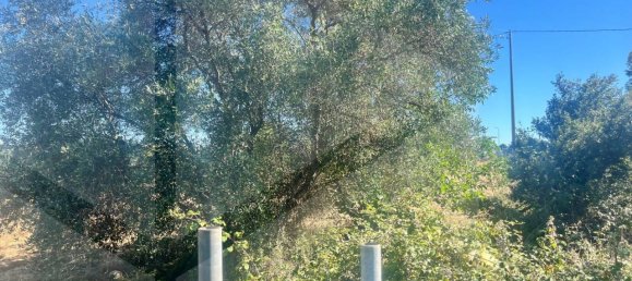  قطعة أرض في Casamassima, Italy 12600متر مربع رقم 29113 3