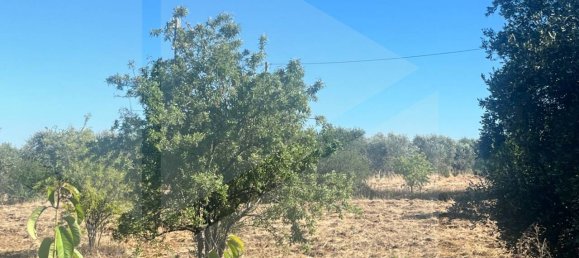  قطعة أرض في Casamassima, Italy 12600متر مربع رقم 29113 4