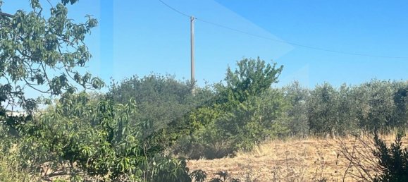  قطعة أرض في Casamassima, Italy 12600متر مربع رقم 29113 5