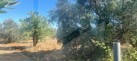  قطعة أرض في Casamassima, Italy 12600متر مربع رقم 29113 2