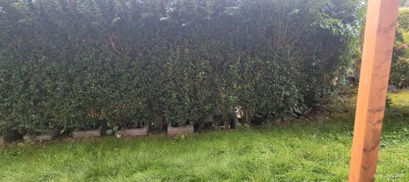 Studio in Erding, Germany No. 332498 18