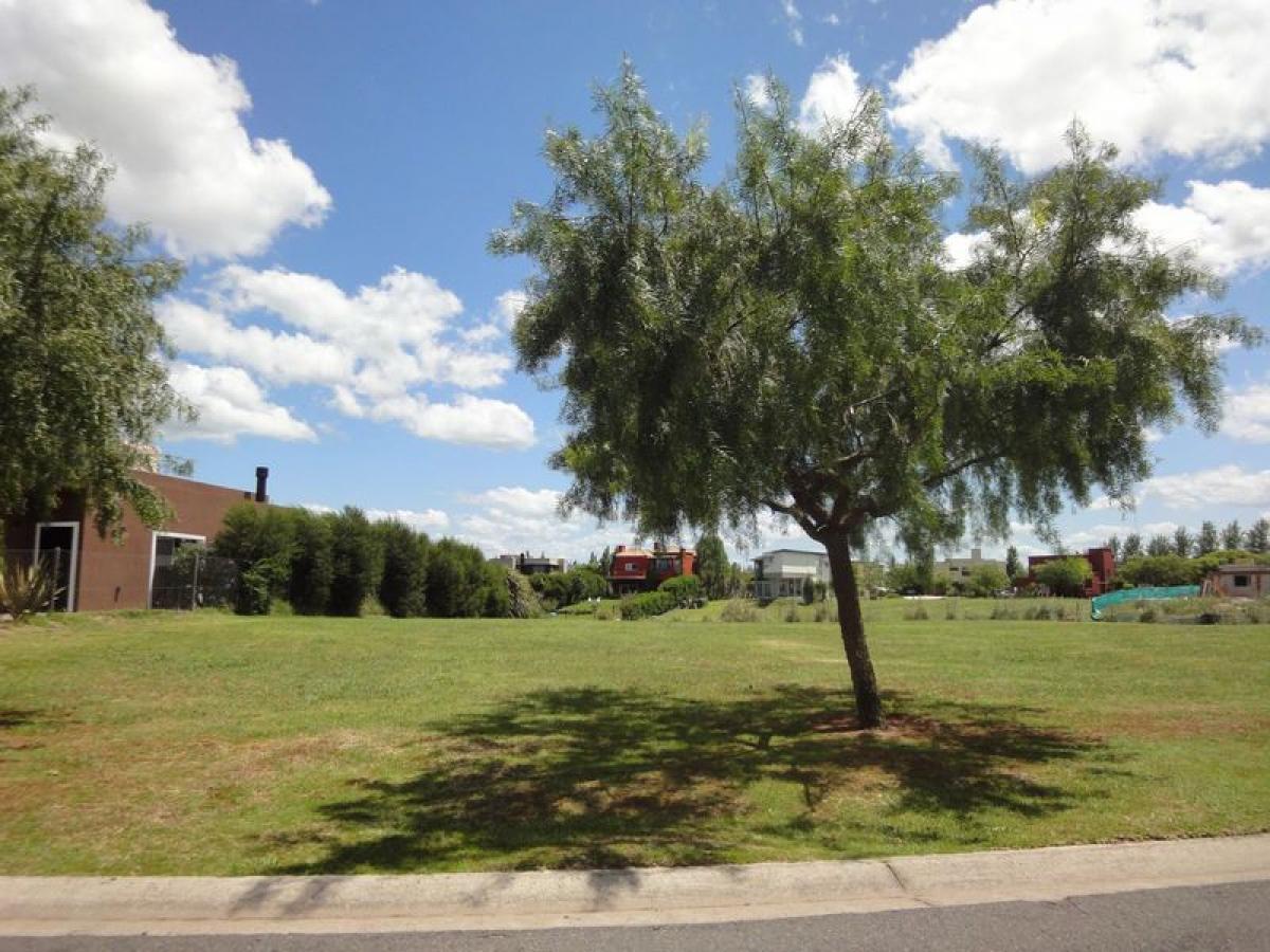  Land in Tigre, Argentina No. 31574