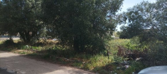 Grundstück in Pulsano, Italy 800m², Nr. 75271 2