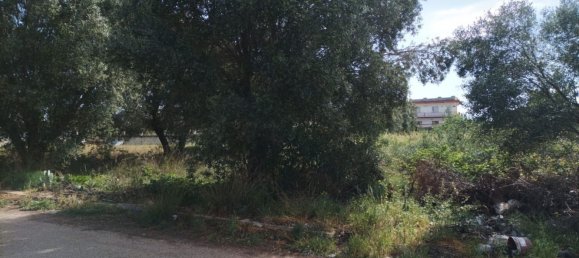 Grundstück in Pulsano, Italy 800m², Nr. 75271 3