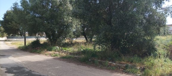 Grundstück in Pulsano, Italy 800m², Nr. 75271 4