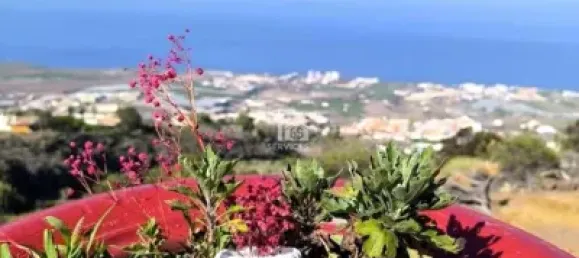 6 Schlafzimmer Haus in Adeje, Spain, Nr. 169513 31