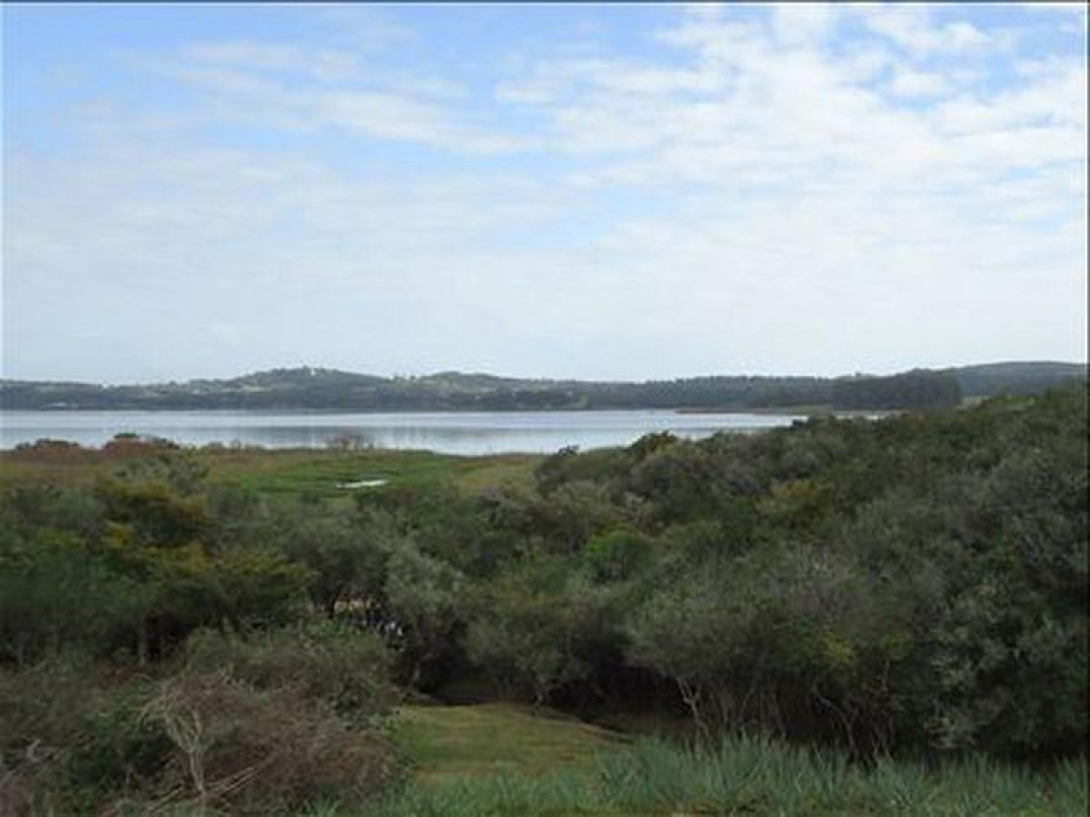  Farm in Maldonado, Uruguay No. 14376