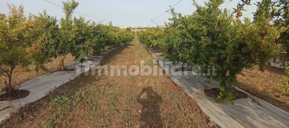 Terrain à Pachino, Italy 13528m² No. 68079 18