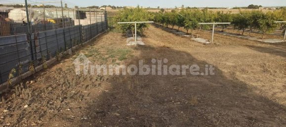 Terrain à Pachino, Italy 13528m² No. 68079 14