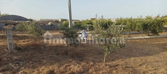 Terrain à Pachino, Italy 13528m² No. 68079 13