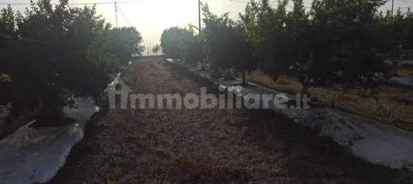 Terrain à Pachino, Italy 13528m² No. 68079 19