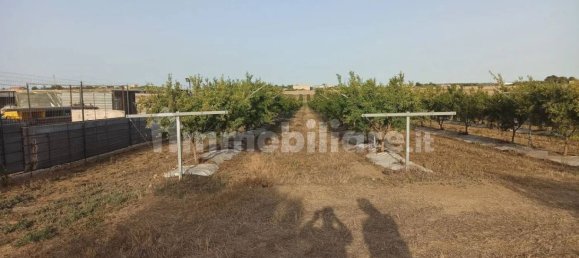 Terrain à Pachino, Italy 13528m² No. 68079 16