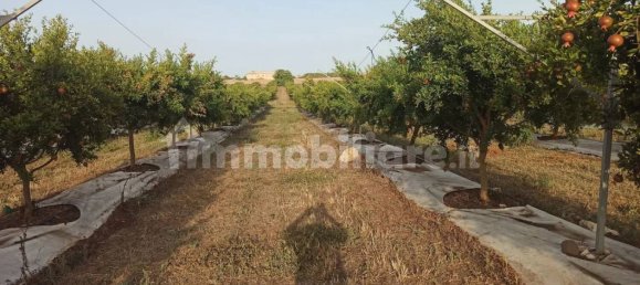 Terrain à Pachino, Italy 13528m² No. 68079 4