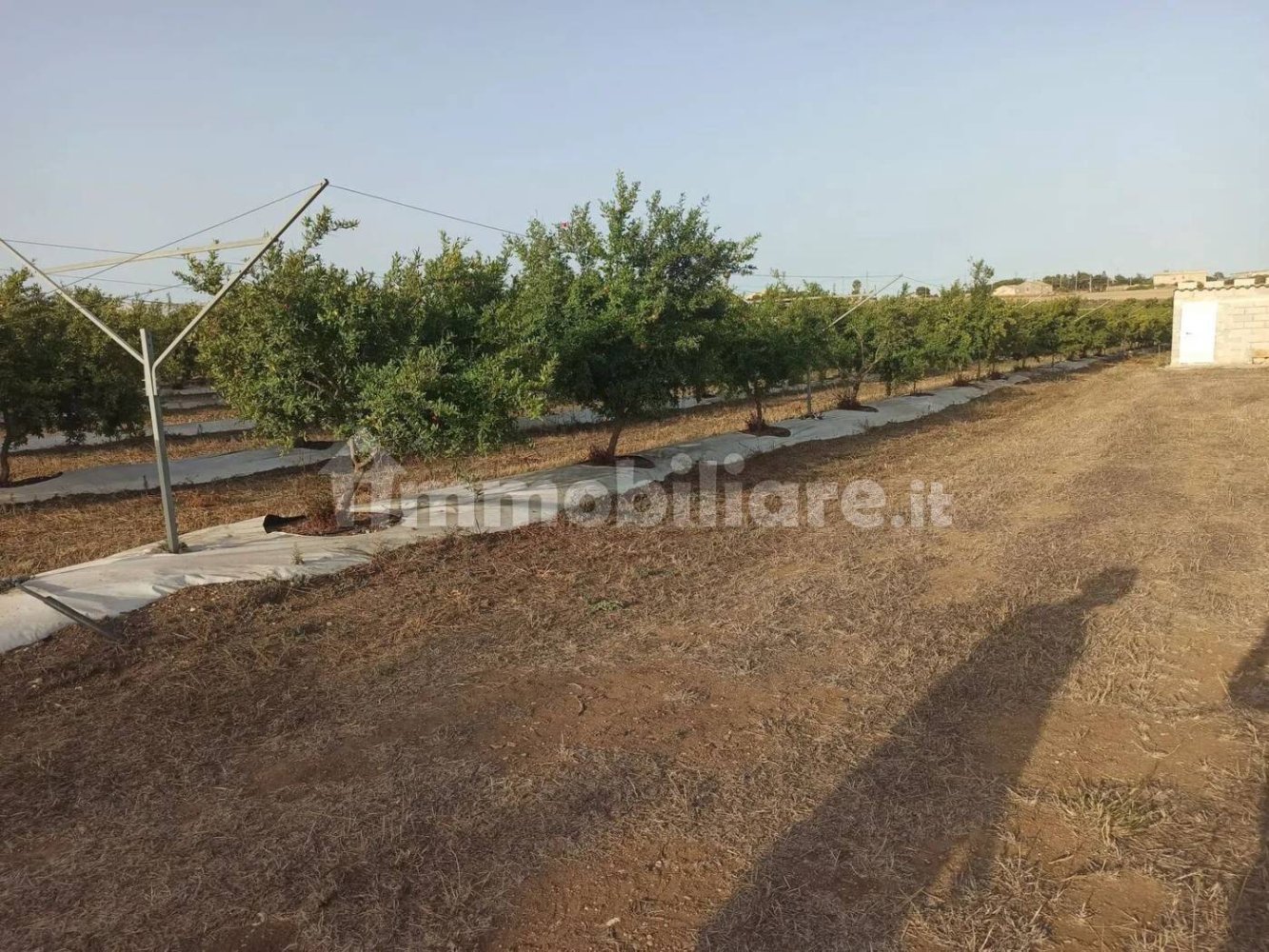 Terrain à Pachino, Italy 13528m² No. 68079