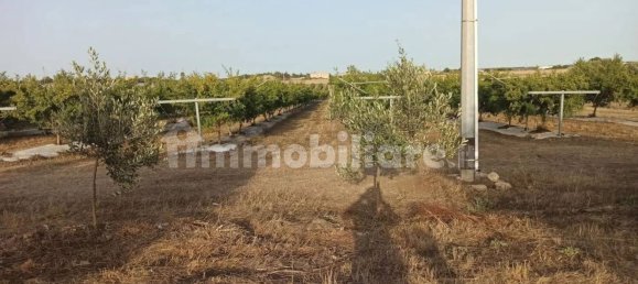 Terrain à Pachino, Italy 13528m² No. 68079 9