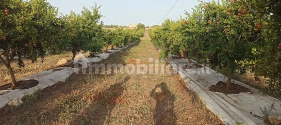 Terrain à Pachino, Italy 13528m² No. 68079 3