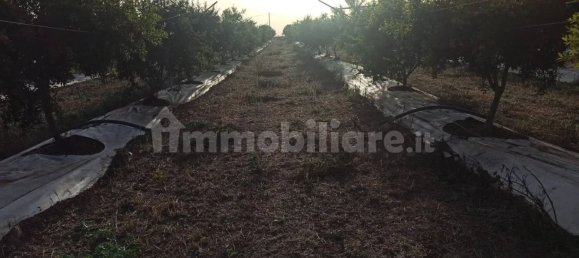 Terrain à Pachino, Italy 13528m² No. 68079 6